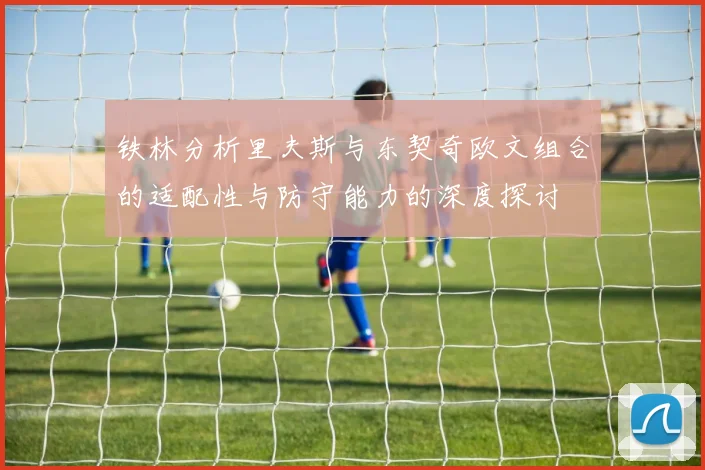 铁林分析里夫斯与东契奇欧文组合的适配性与防守能力的深度探讨