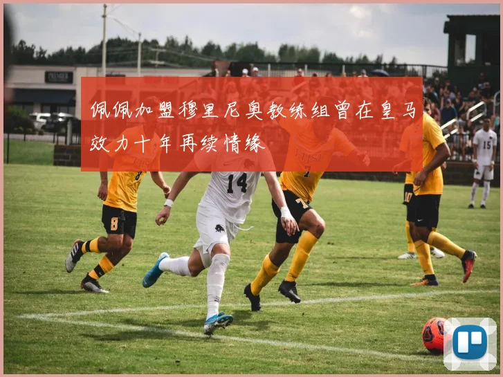 佩佩加盟穆里尼奥教练组曾在皇马效力十年再续情缘